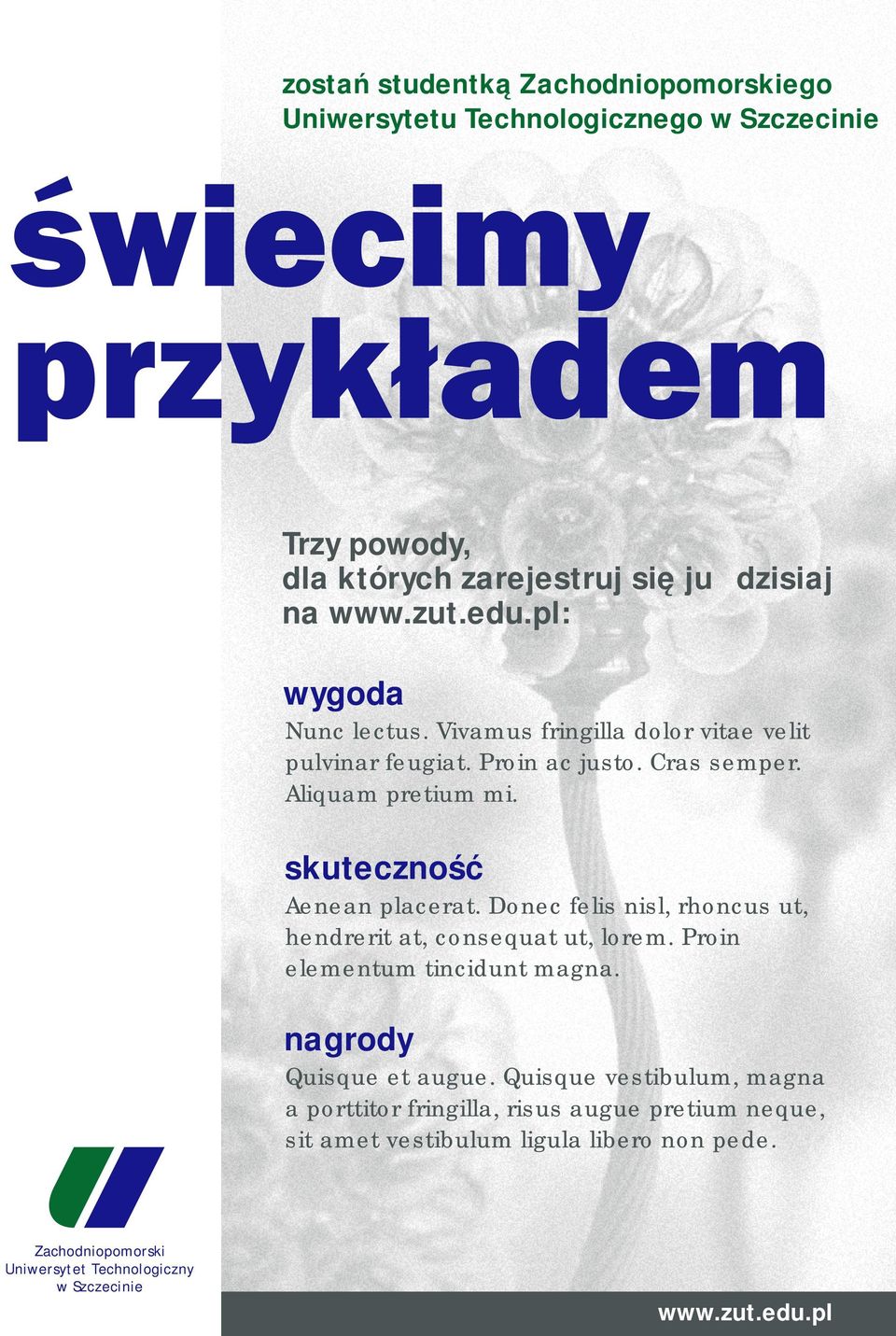 skuteczność Aenean placerat. Donec felis nisl, rhoncus ut, hendrerit at, consequat ut, lorem. Proin elementum tincidunt magna.