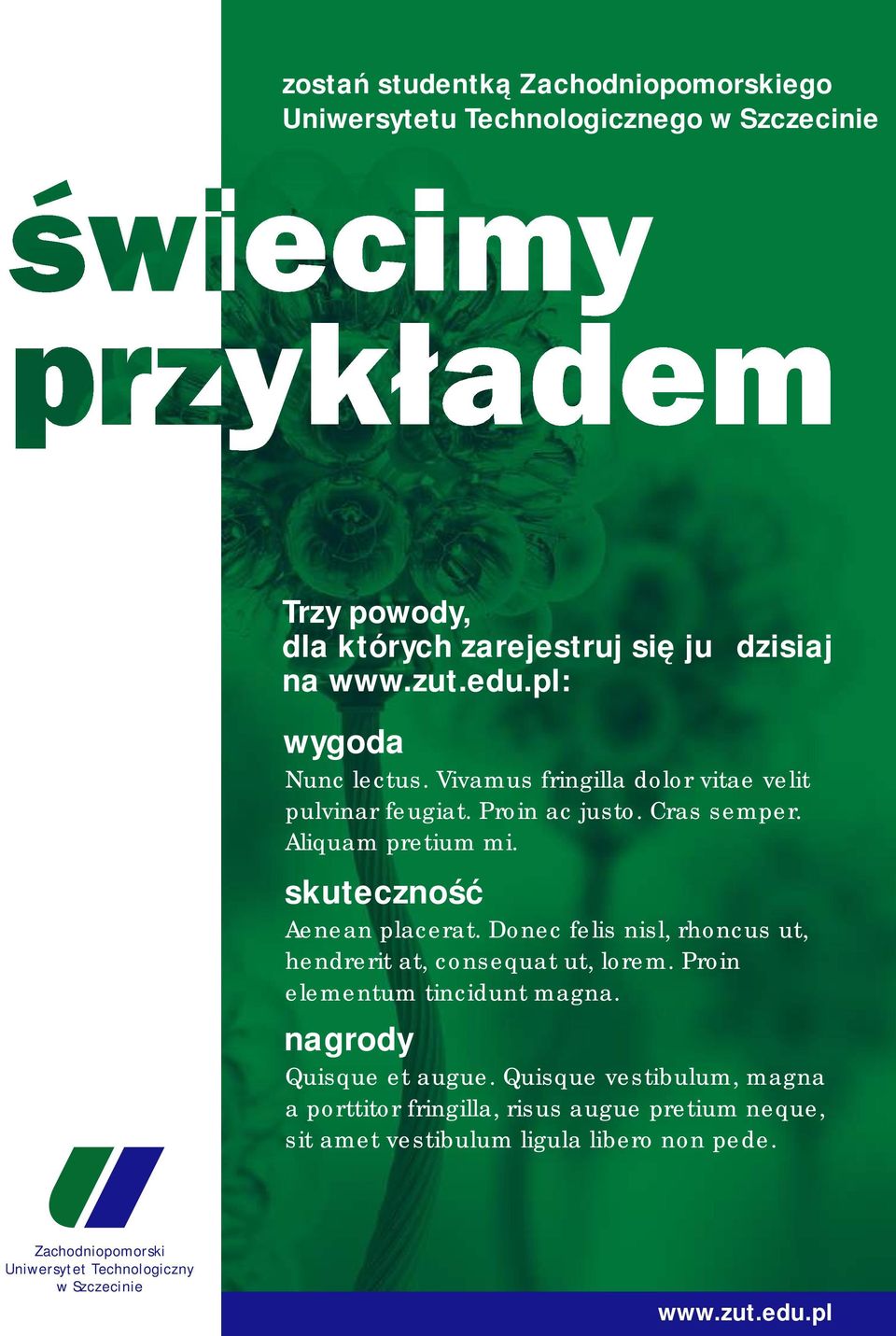 skuteczność Aenean placerat. Donec felis nisl, rhoncus ut, hendrerit at, consequat ut, lorem. Proin elementum tincidunt magna.