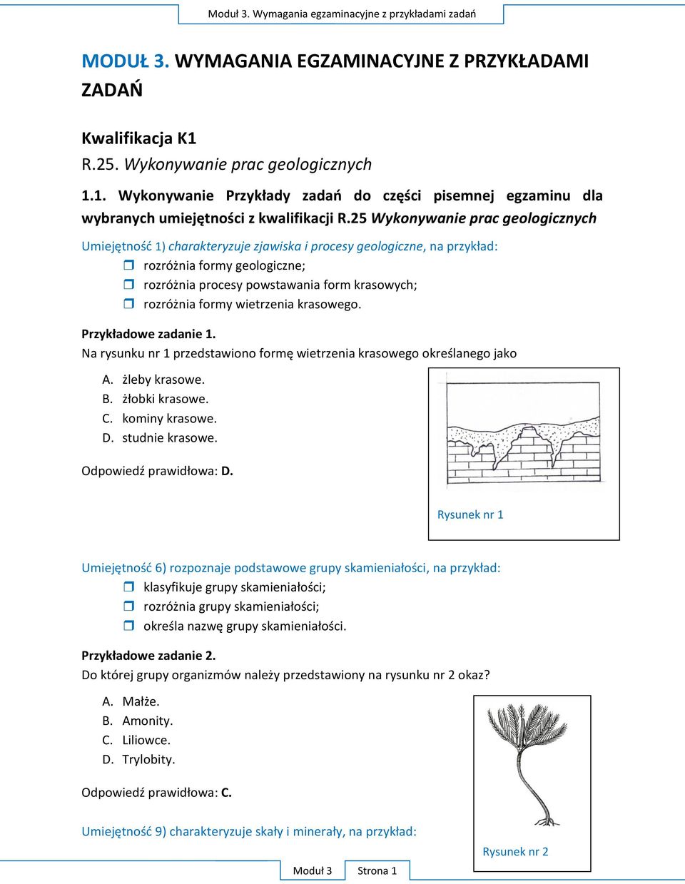 25 Wykonywanie prac geologicznych Umiejętność 1) charakteryzuje zjawiska i procesy geologiczne, na przykład: rozróżnia formy geologiczne; rozróżnia procesy powstawania form krasowych; rozróżnia formy