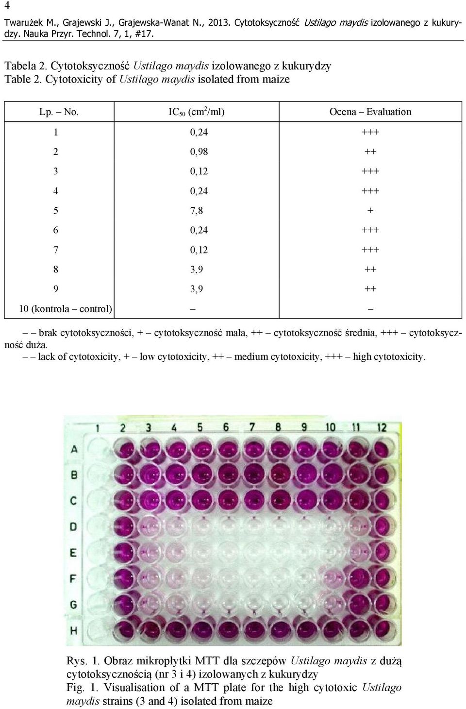 IC 50 (cm 2 /ml) Ocena Evaluation 1 0,24 +++ 2 0,98 ++ 3 0,12 +++ 4 0,24 +++ 5 7,8 + 6 0,24 +++ 7 0,12 +++ 8 3,9 ++ 9 3,9 ++ 10 (kontrola control) brak cytotoksyczności, + cytotoksyczność mała, ++