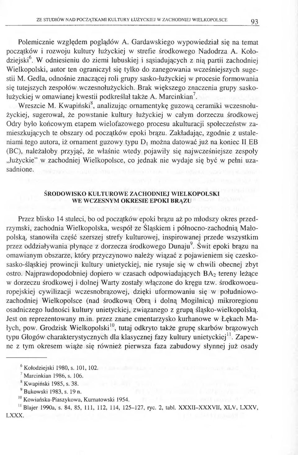 W odniesieniu do ziemi lubuskiej i sąsiadujących z nią partii zachodniej W ielkopolski, autor ten ograniczył się tylko do zanegow ania wcześniejszych sugestii M.