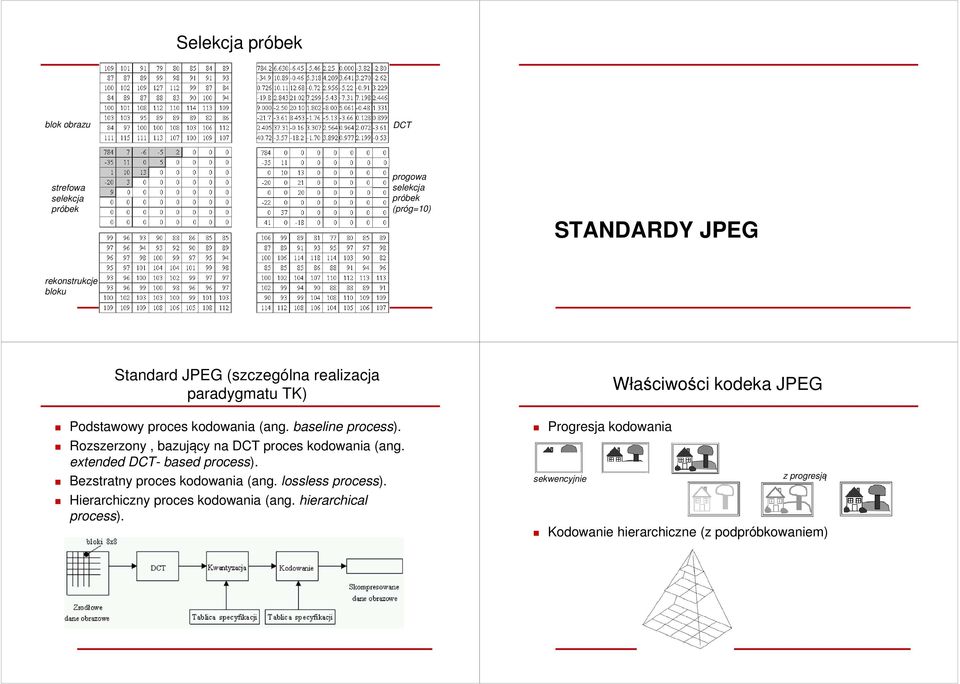 Rozszerzony, bazujący na DCT proces kodowania (ang. extended DCT- based process). Bezstratny proces kodowania (ang. lossless process).