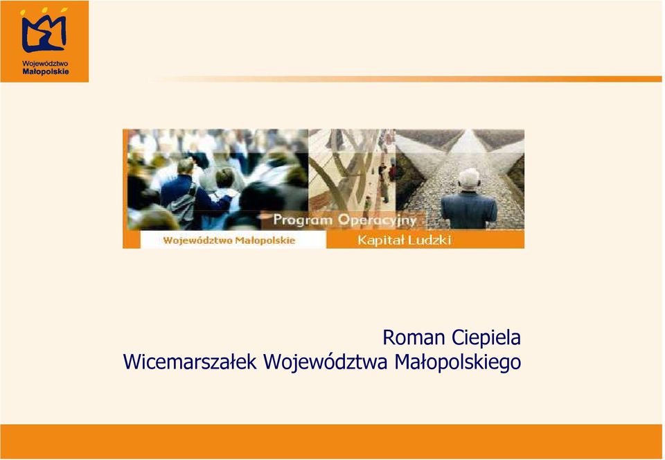 Wicemarszałek