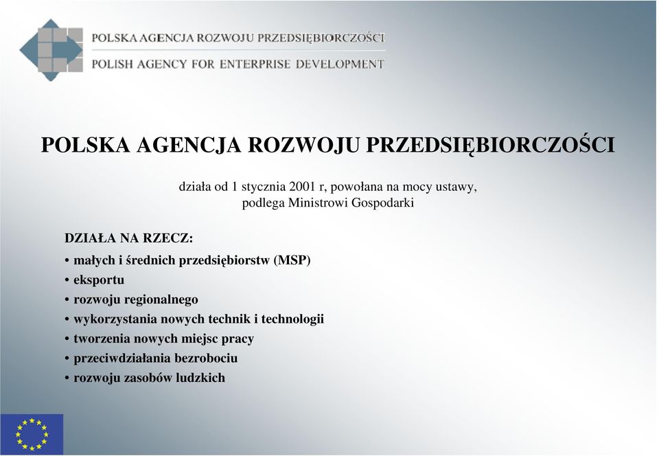 przedsiębiorstw (MSP) eksportu rozwoju regionalnego wykorzystania nowych technik i