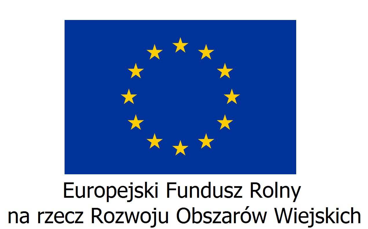 Wzór zastosowania logo i sloganu: Europejski Fundusz Rolny na rzecz Rozwoju Obszarów Wiejskich: Europa inwestująca w obszary wiejskie.