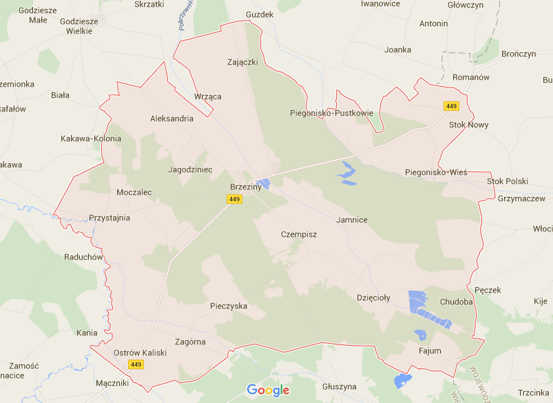 5.2. Walory przyrodniczo-turystyczne Rysunek 3. Położenie Gminy Brzeziny.