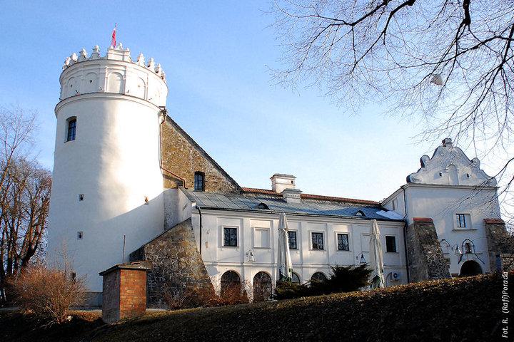 modernizację oświetlenia oraz alejek, remont dwóch placów zabaw, rewitalizację stawu parkowego.