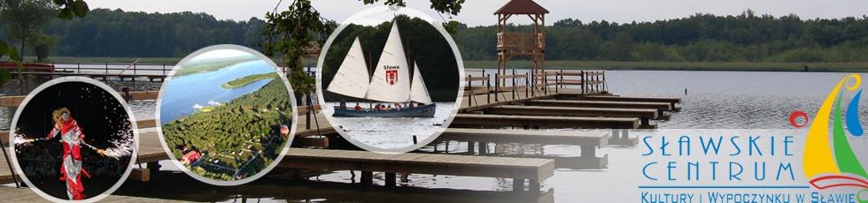 Podsumowanie Na terenie powiatu wschowskiego nadal najmniej zwodociągowaną gminą jest Sława, na obszarze której funkcjonują małe wodociągi lokalne, dostarczające wodę o niestabilnej jakości.