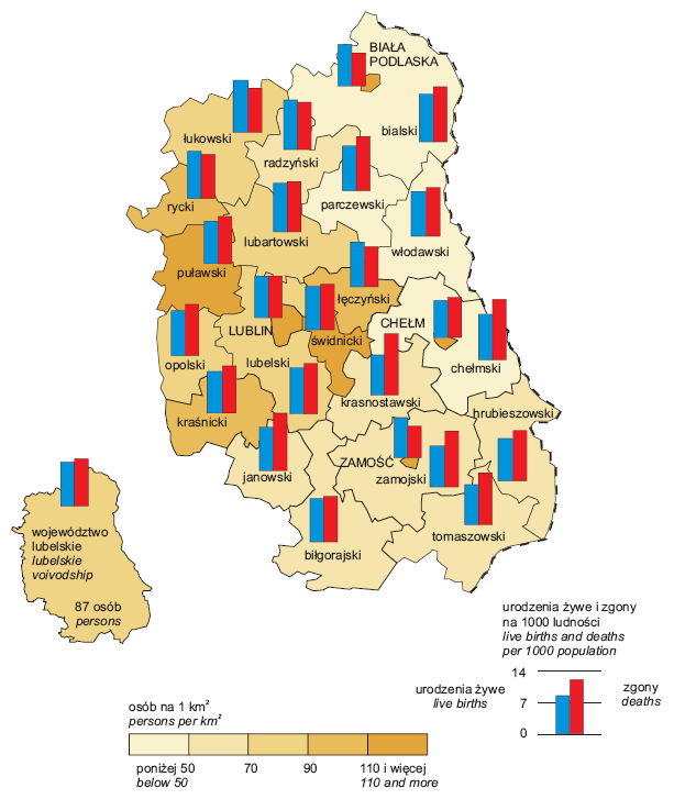 Na szczególne podkreślenie zasługuje fakt, iż gmina jest jedną z nielicznych tego typu jednostek administracyjnych całego województwa lubelskiego, gdzie wartość wskaźnika przyrostu naturalnego osiąga