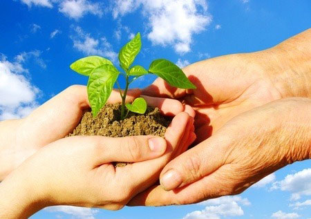Humbly welcome the word that has been planted in you and is able to save your souls. - James 1:21b Przyjmijcie w duchu łagodności zaszczepione w was słowo, które ma moc zbawić dusze wasze.