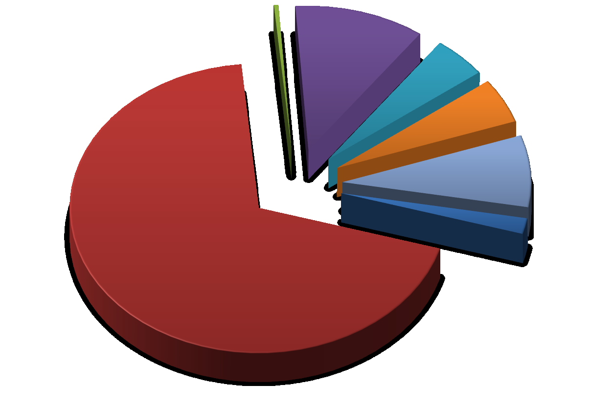 Użytkowanie gruntów w województwie pomorskim 0,38% 11,18% 4,65% 5,02% 68,98% 8,03% 1,76%