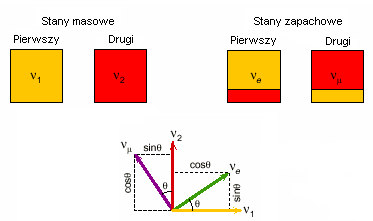 Czym są oscylacje?