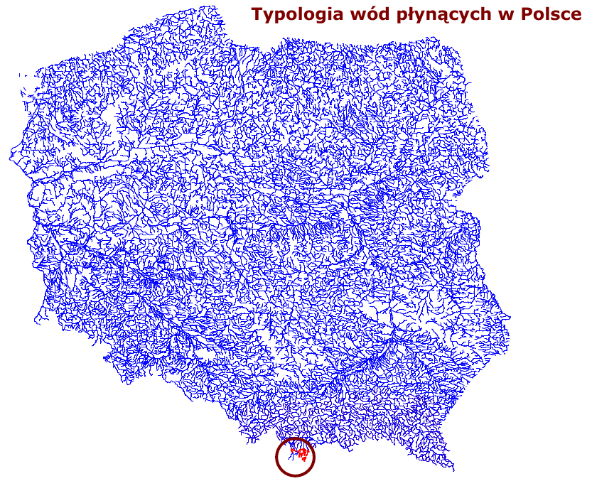 Typologia wód płynących w