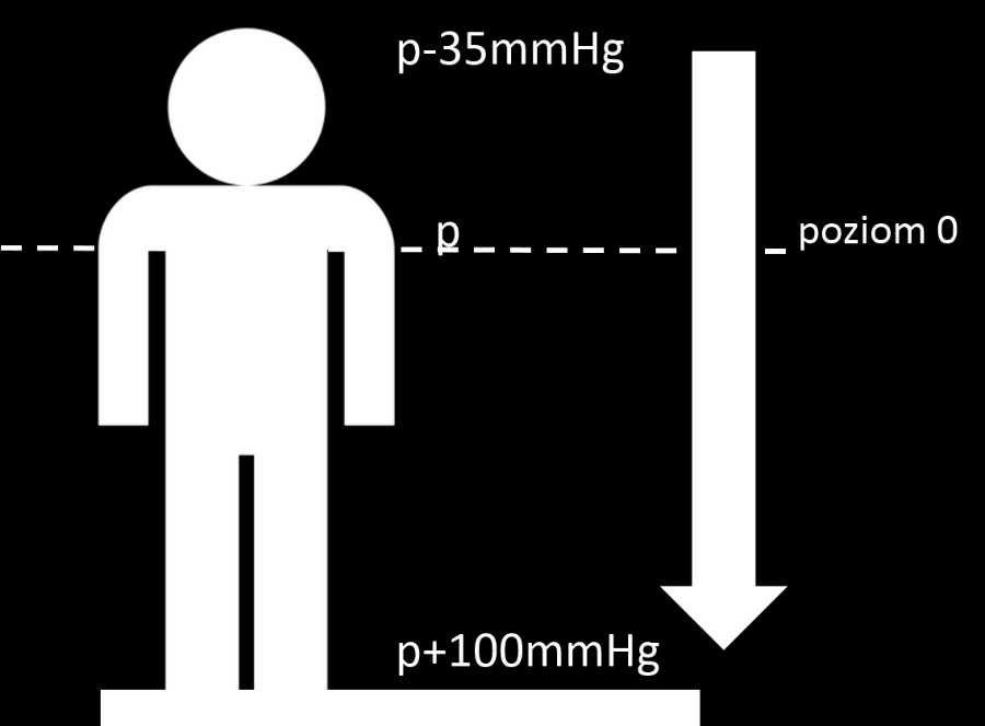Ciśnienie hydrostatyczne p h = ρgh (5.1) gdzie: p h - ciśnienie na danej głębokości [Pa], ρ gęstość cieczy [kg/m 3 ], h - głębokość / wysokość słupa cieczy [m]. Rys. 5.