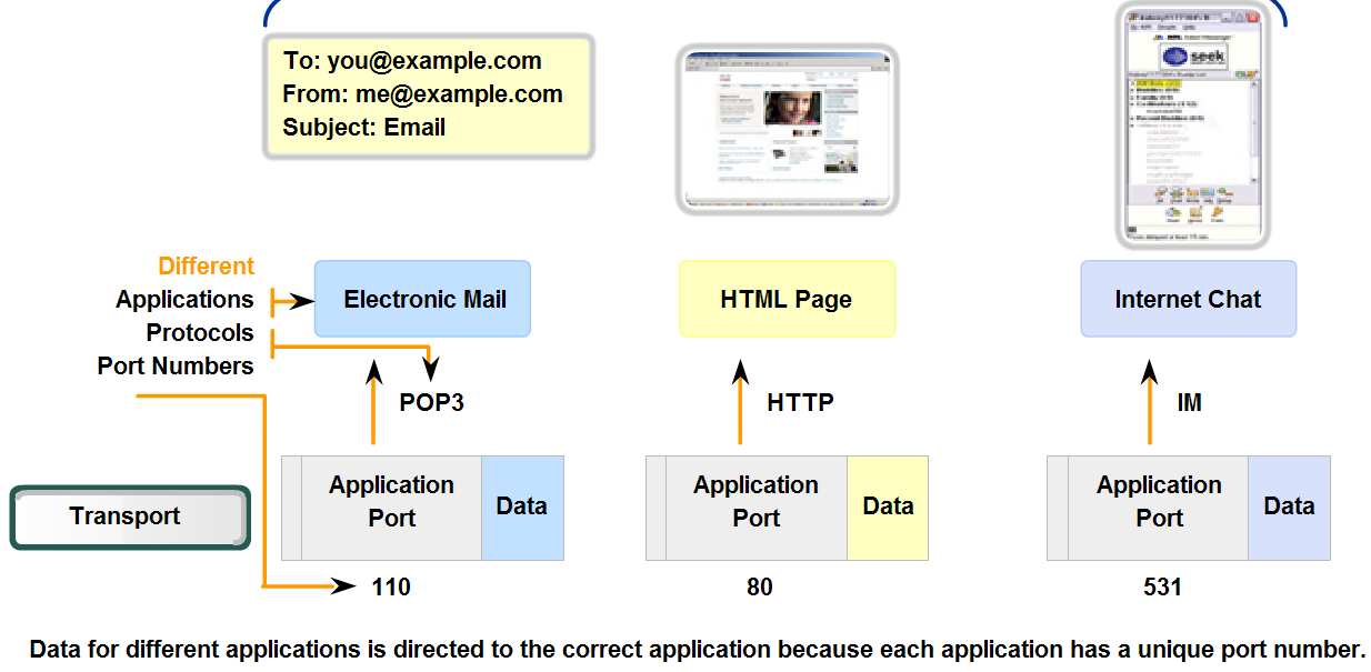 Transport Layer Role and Services Identify how a port number is