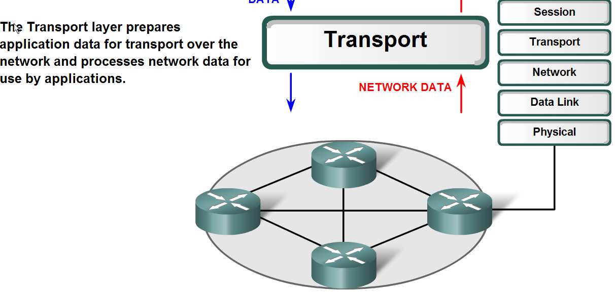 transportowej