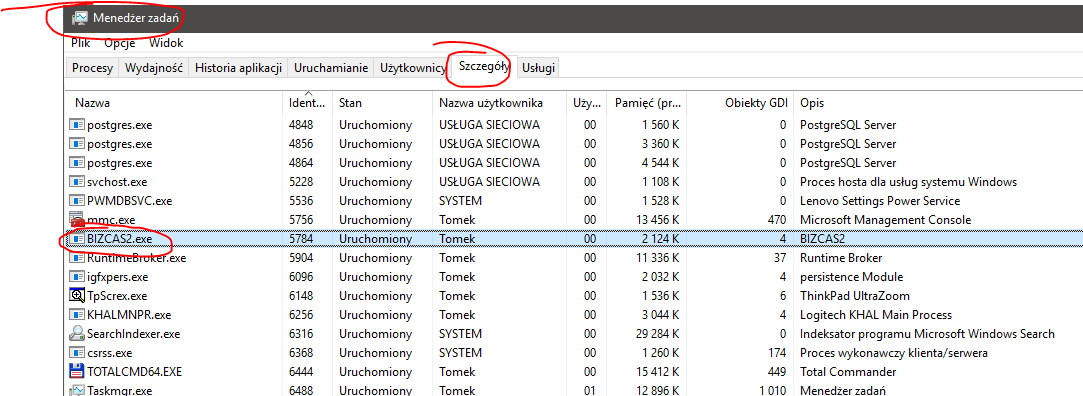 BIZcas na tę chwilę jest aplikacją Windows, a nie usługą Windows.