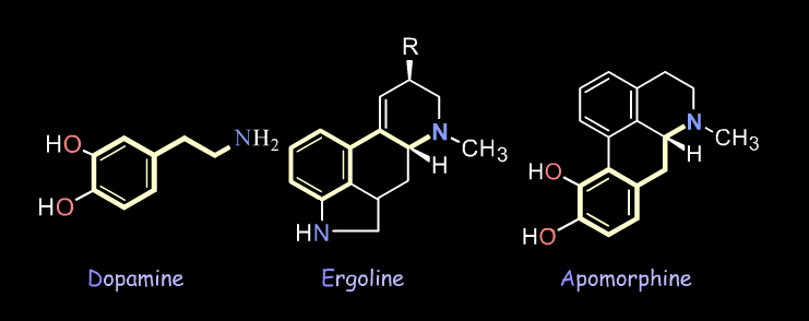Przykład identyfikacji farmakoforu Agoniści receptora