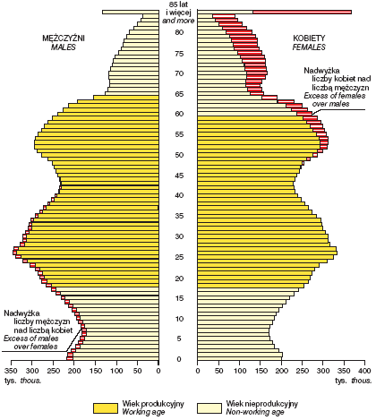 Rys. 1.10. Struktura według płci i wieku w Polsce w 2010 roku, stan na 30 VI. Źródło: Mały Rocznik Statystyczny 2011.