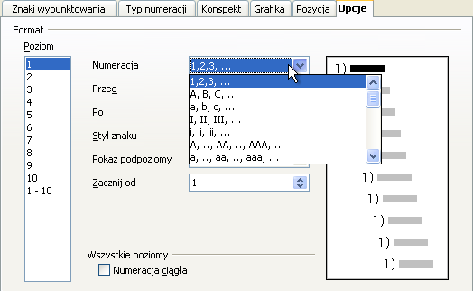 Dostosowanie punktowania i numerowania Dostosowywanie numerowania i punktowania to bardzo rozległy temat. Jednak najważniejszym elementem dostosowywania będzie definiowanie poszczególnych poziomów.