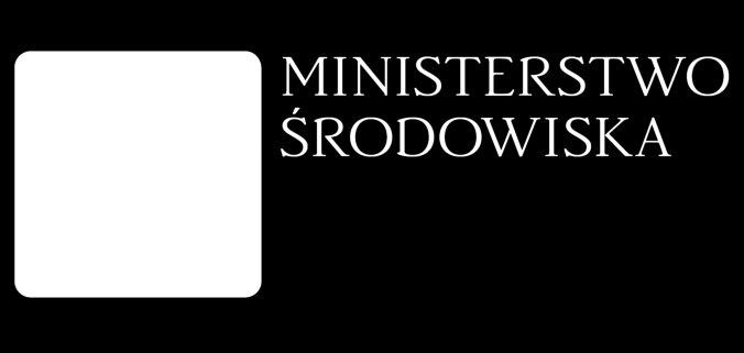 DZIĘKUJĘ ZA UWAGĘ ul. Wawelska 52/54 00-922 Warszawa www.mos.gov.