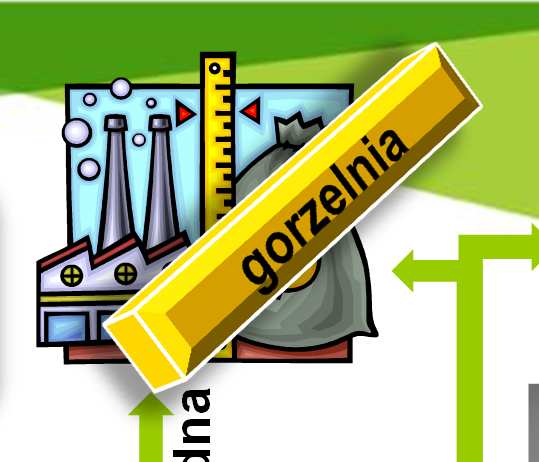 Schemat biogazowni BIOMASA Kiszonki z kukurydzy Odpady z przetwórstwa