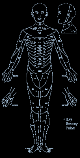 Zintegrowane miary do oceny ryzyka Miara klasyfikacji obrażeń wypadków ISS (Injury Severity Score Codes) Klasyfikacja punktowa