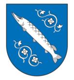 WYKONANIE BUDŻETU MIASTA