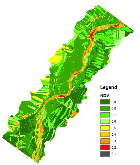 Normalized Difference Vegetation Index NDVI znormalizowany wskaźnik roślinności - Jest indykatorem zawartości barwników fotosyntetycznych (zakres RED) oraz poprawności struktury komórkowej rośliny