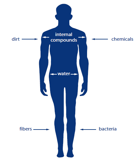 72 Rysunek nr 1: Skóra jako bariera ochronna Źródło: Effects of Skin Contact with Chemicals. What a Worker Should Know. DEPARTMENT OF HEALTH AND HUMAN SERVICES.