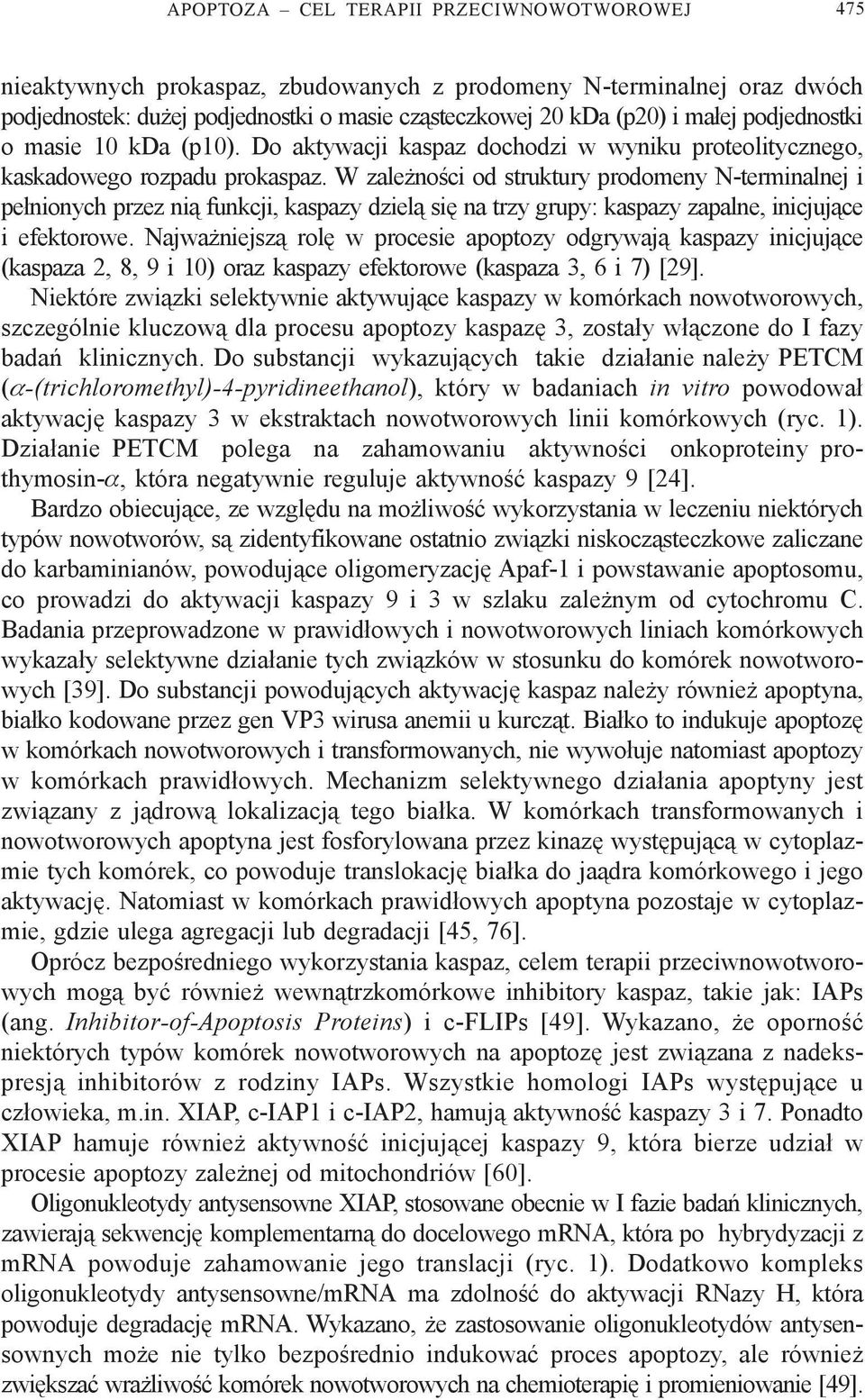 W zale noœci od struktury prodomeny N-terminalnej i pe³nionych przez ni¹ funkcji, kaspazy dziel¹ siê na trzy grupy: kaspazy zapalne, inicjuj¹ce i efektorowe.