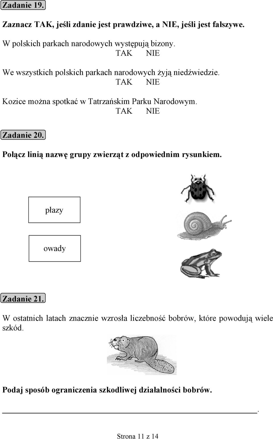 TAK NIE Zadanie 20. Połącz linią nazwę grupy zwierząt z odpowiednim rysunkiem. płazy owady Zadanie 21.