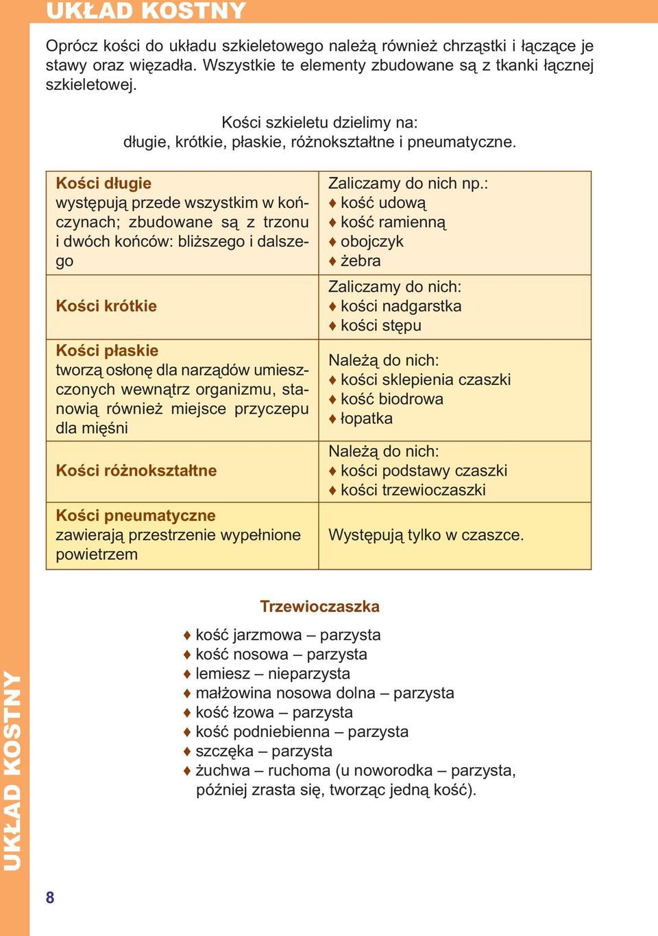 Kości długie występują przede wszystkim w kończynach; zbudowane są z trzonu i dwóch końców: bliższego i dalszego Kości krótkie Kości płaskie tworzą osłonę dla narządów umieszczonych wewnątrz