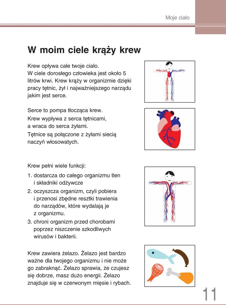 Tętnice są połączone z żyłami siecią naczyń włosowatych. Krew pełni wiele funkcji: 1. dostarcza do całego organizmu tlen i składniki odżywcze 2.