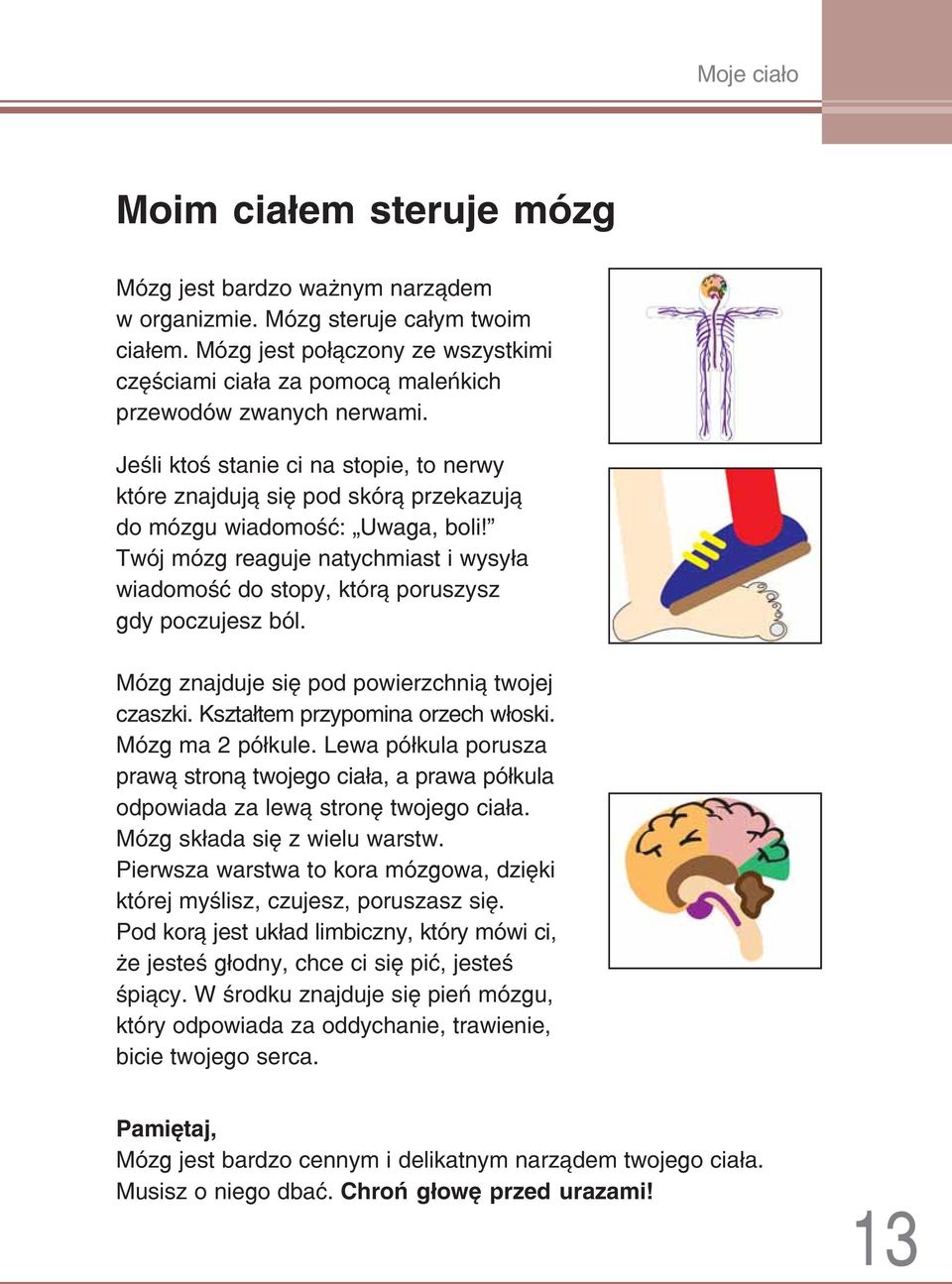 Jeśli ktoś stanie ci na stopie, to nerwy które znajdują się pod skórą przekazują do mózgu wiadomość: Uwaga, boli!