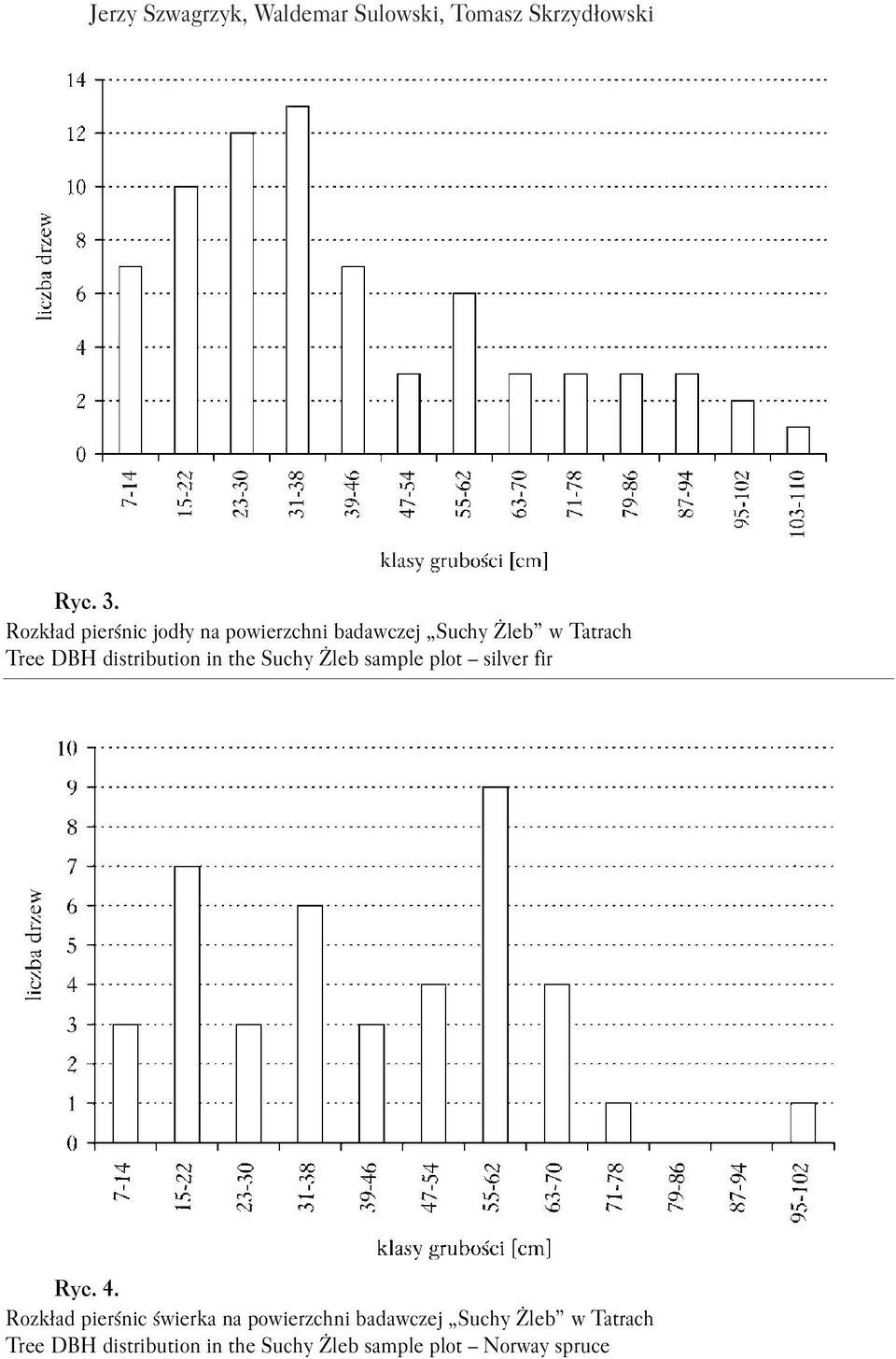 distribution in the Suchy Żleb sample plot silver fir Ryc. 4.