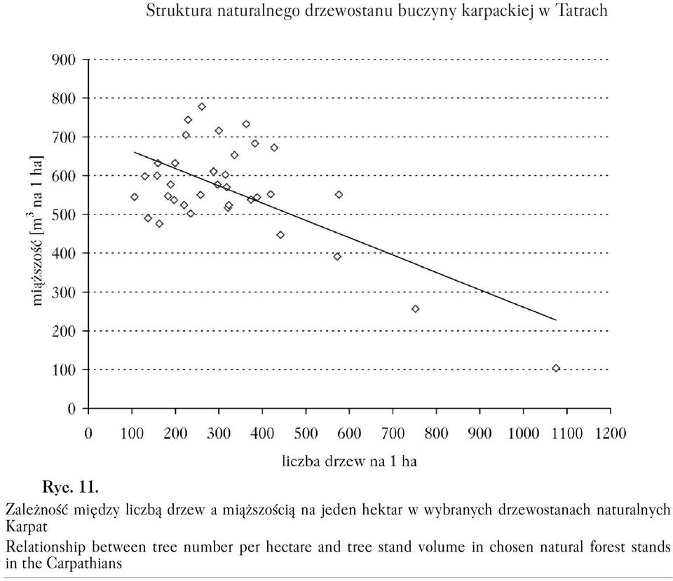 drzewostanach naturalnych Karpat Relationship between tree number per