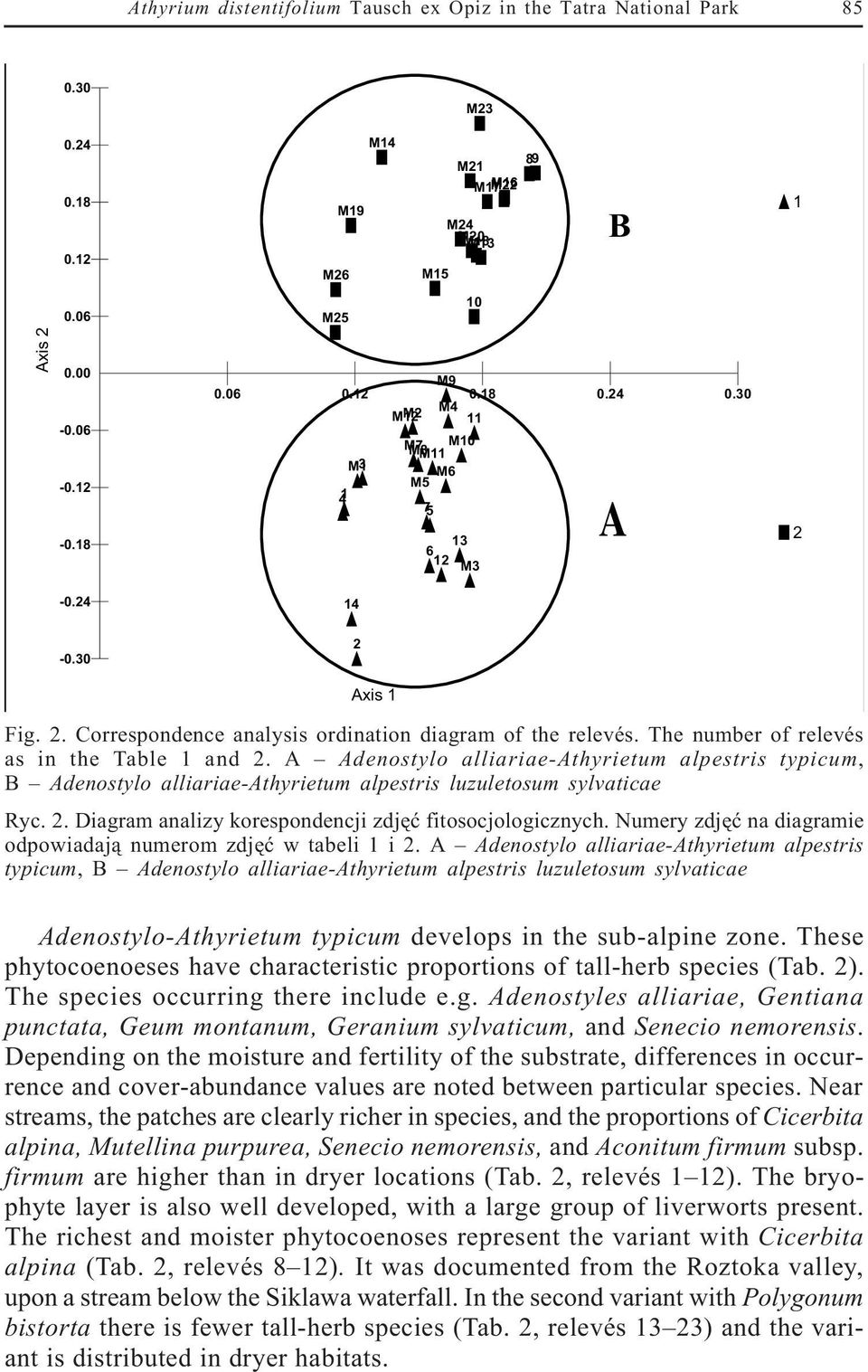 The number of relevés as in the Table 1 and 2. A Adenostylo alliariae-athyrietum alpestris typicum, B Adenostylo alliariae-athyrietum alpestris luzuletosum sylvaticae Ryc. 2. Diagram analizy korespondencji zdjêæ fitosocjologicznych.