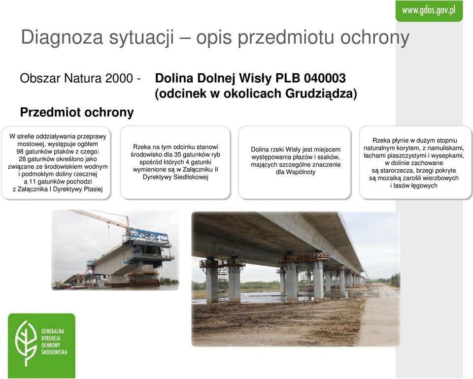 stanowi środowisko dla 35 gatunków ryb spośród których 4 gatunki wymienione są w Załączniku II Dyrektywy Siedliskowej Dolina rzeki Wisły jest miejscem występowania płazów i ssaków, mających