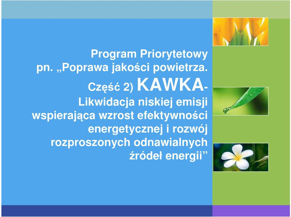 Część 2) KAWKA- Likwidacja niskiej emisji