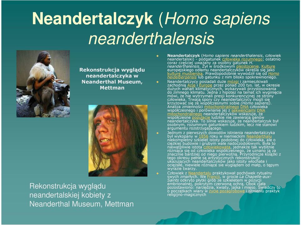 Kulturę europejskiego odłamu neandertalczyków określa się jako kulturę mustierską. Prawdopodobnie wywodził się od Homo heidelbergensis lub gatunku z nim blisko spokrewnionego.