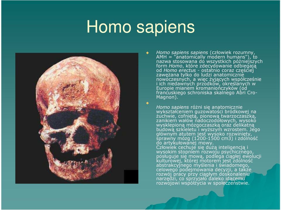 schroniska skalnego Abri Cro- Magnon).