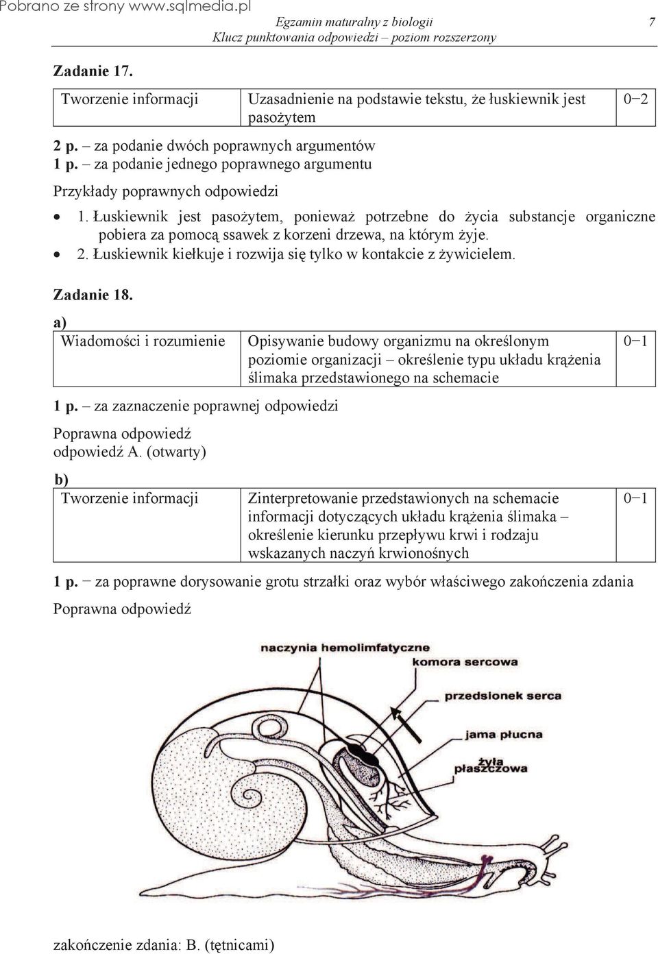 Zadanie 18. 1 p. za zaznaczenie poprawnej odpowiedzi odpowied A.