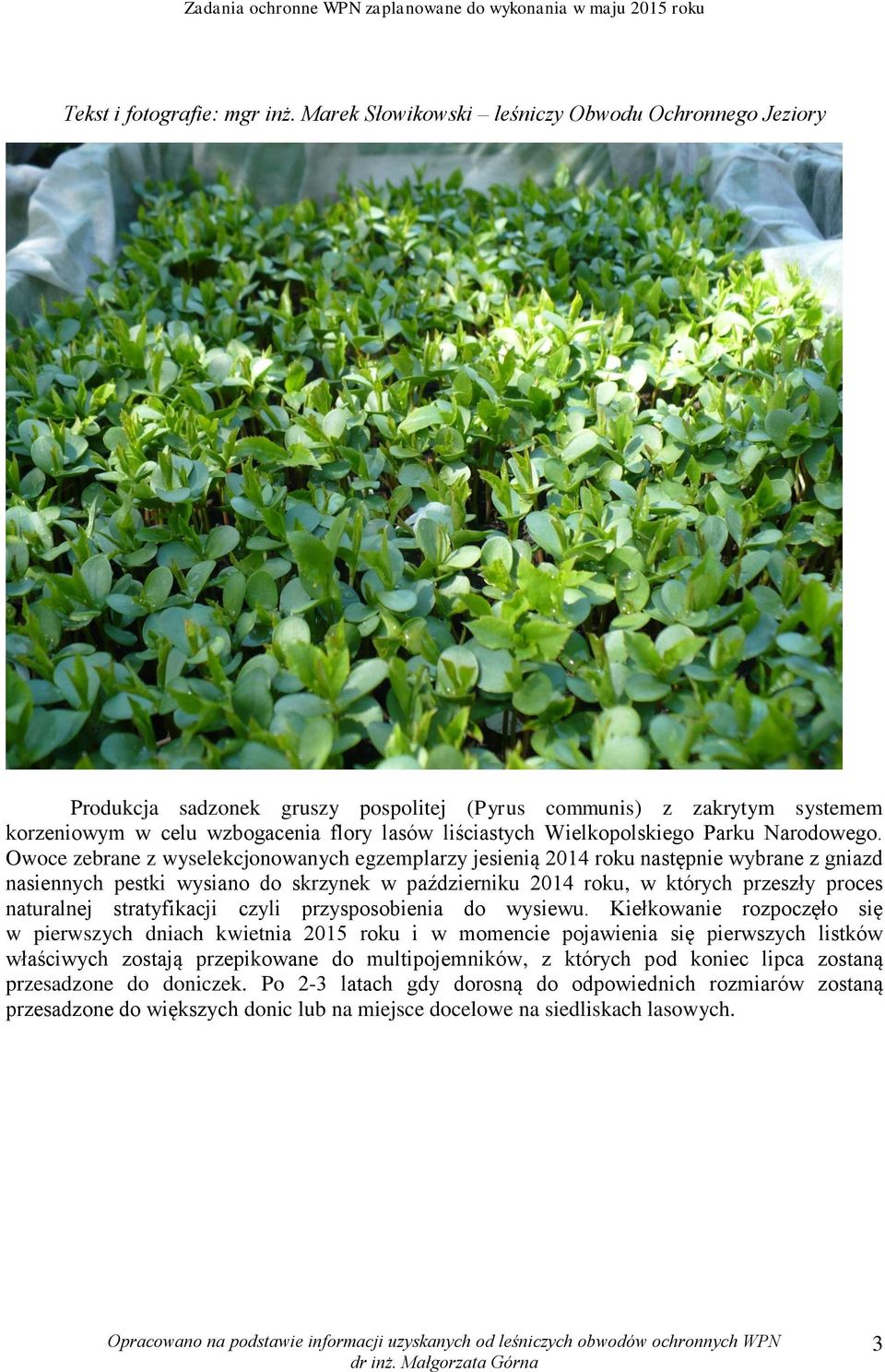 Parku Narodowego.