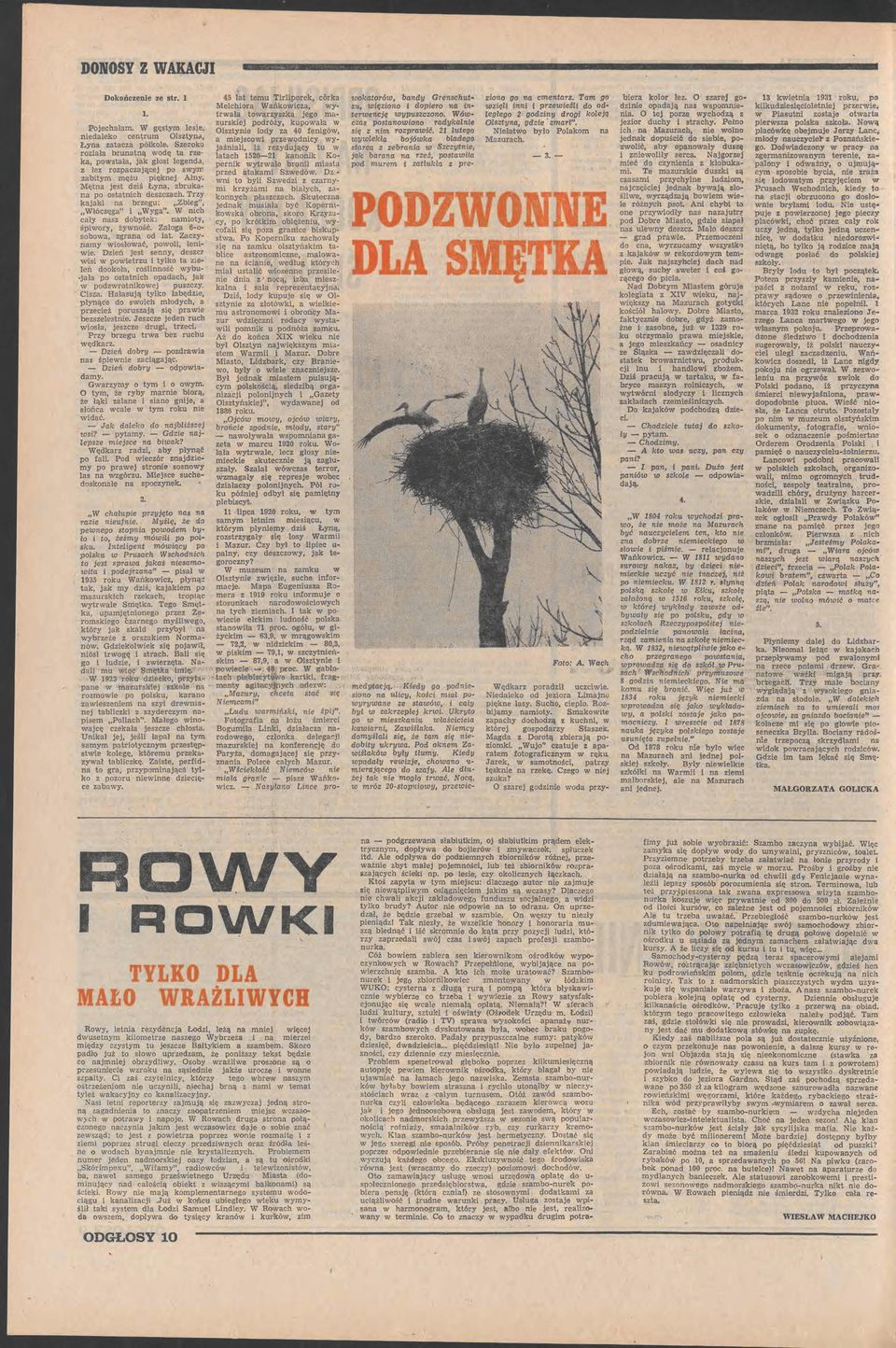 poetru tylko ta eleń dookoła roślnność ybujała po ostatnch opadach jak podrotnkoej puscy Csża Hałasują tylko łabęde płynące do soch młodych a preceż porusają sę prae beselestne Jesce jeden ruch osła