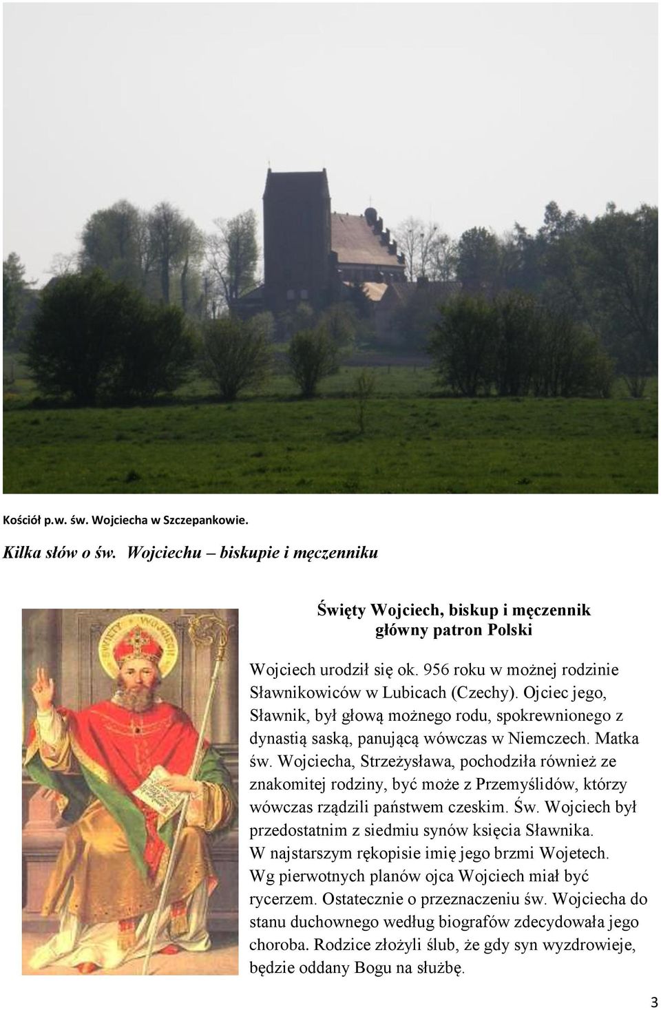 Wojciecha, Strzeżysława, pochodziła również ze znakomitej rodziny, być może z Przemyślidów, którzy wówczas rządzili państwem czeskim. Św. Wojciech był przedostatnim z siedmiu synów księcia Sławnika.