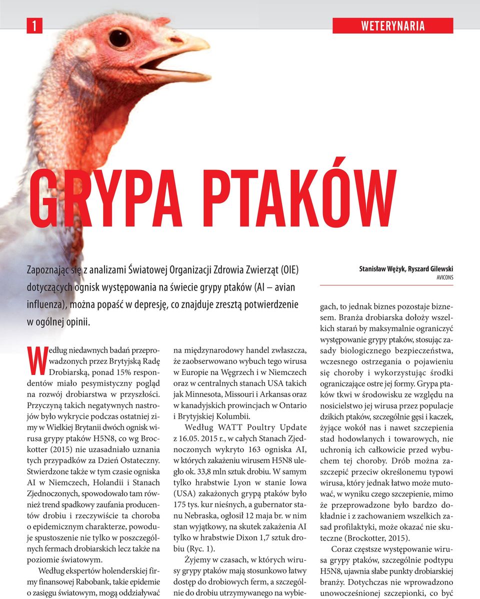 Według niedawnych badań przeprowadzonych przez Brytyjską Radę Drobiarską, ponad 15% respondentów miało pesymistyczny pogląd na rozwój drobiarstwa w przyszłości.
