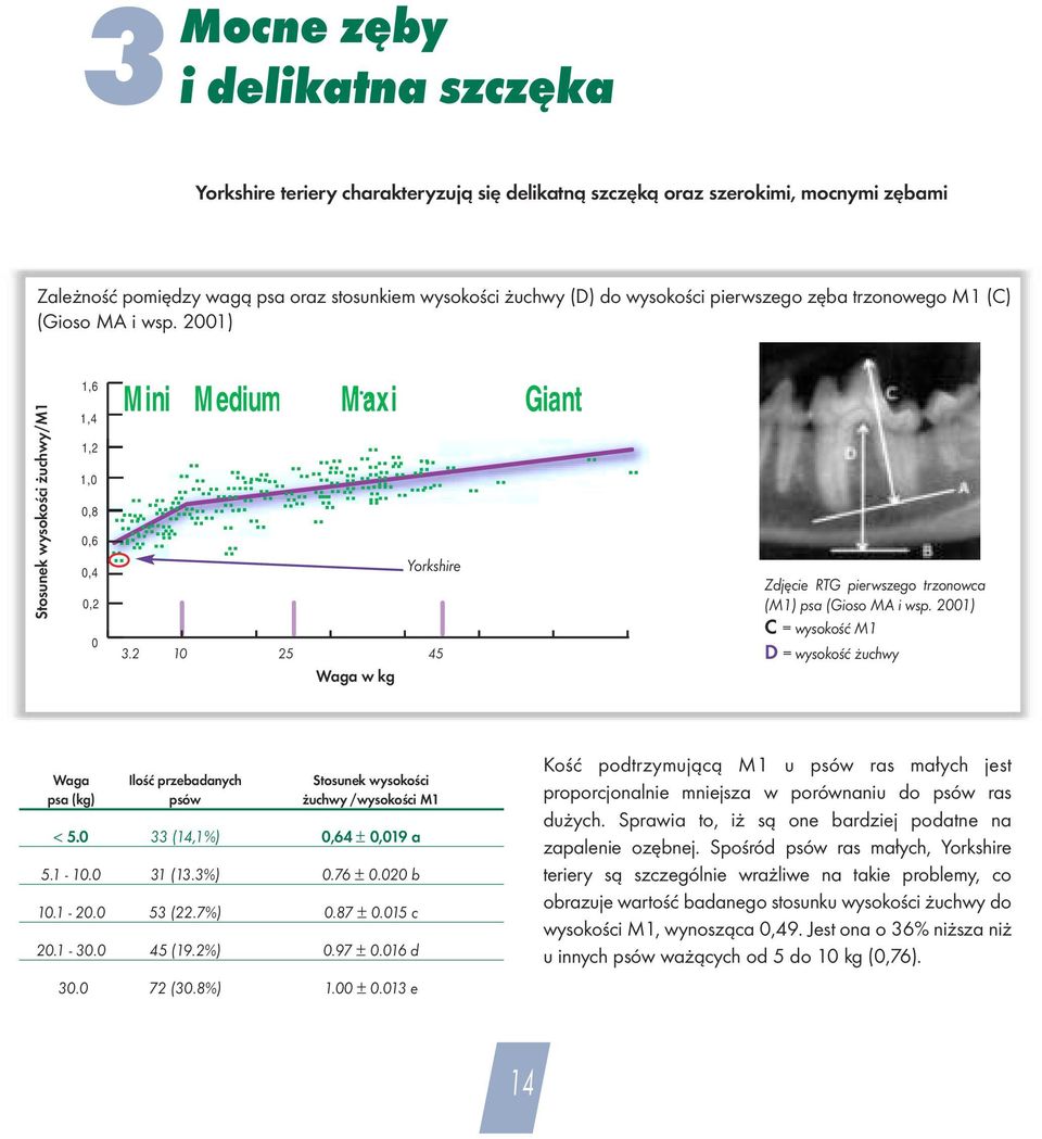 2 10 20 25 25 30 40 45 45 70 kg Waga w kg Zdjęcie RTG pierwszego trzonowca (M1) psa (Gioso MA i wsp.
