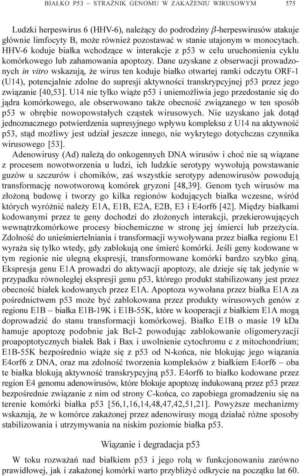 Dane uzyskane z obserwacji prowadzonych in vitro wskazuj¹, e wirus ten koduje bia³ko otwartej ramki odczytu ORF-1 (U14), potencjalnie zdolne do supresji aktywnoœci transkrypcyjnej p53 przez jego