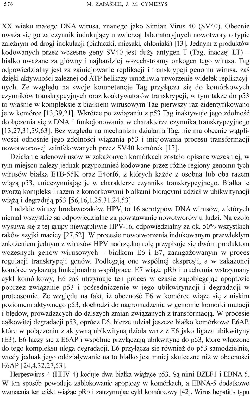Jednym z produktów kodowanych przez wczesne geny SV40 jest du y antygen T (Tag, inaczej LT) bia³ko uwa ane za g³ówny i najbardziej wszechstronny onkogen tego wirusa.
